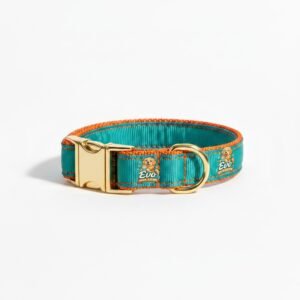Adjustable Padded Collar