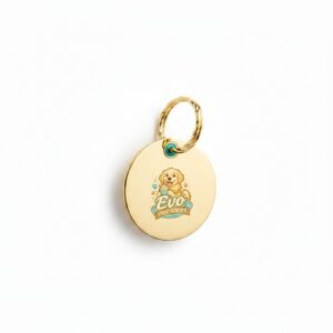 Personalized Engraved ID Tag