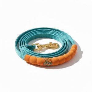 Heavy-Duty Nylon Leash (5ft)