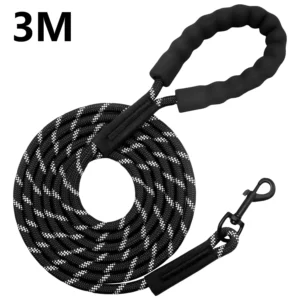 Heavy-Duty Nylon Leash (5ft)