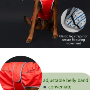 Waterproof Dog Raincoat